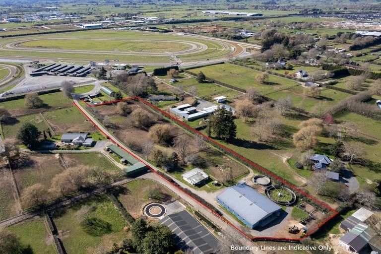 Photo of property in 49 Racecourse Road, Cambridge, 3493