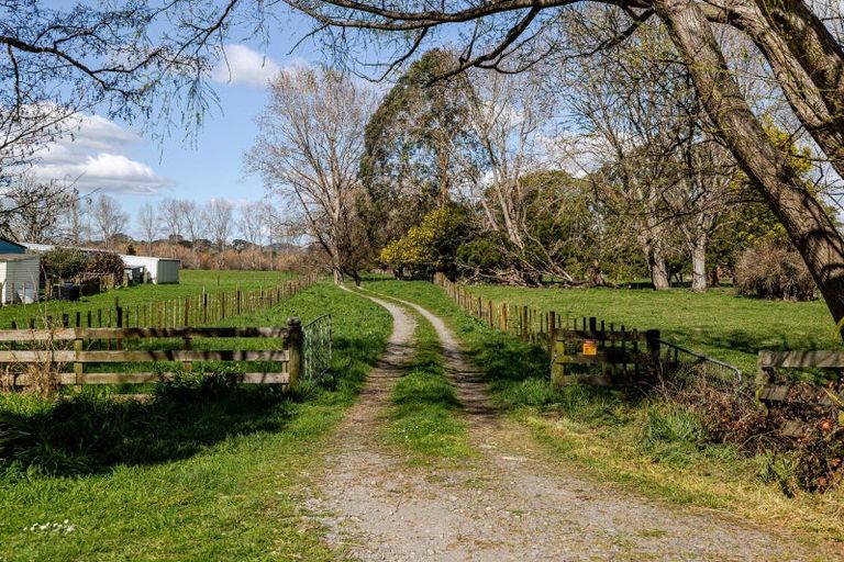 Photo of property in 180 Pukemiku Road, Mangamutu, Pahiatua, 4983