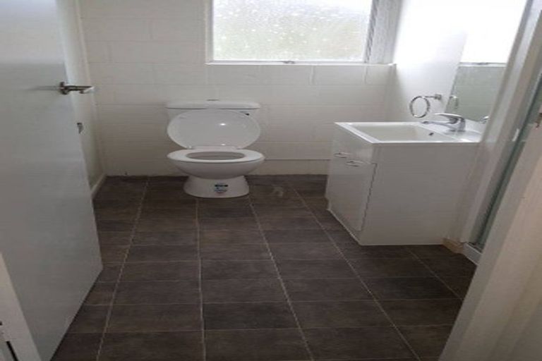 Photo of property in 53 Barrie Crescent, Silverdale, Hamilton, 3216