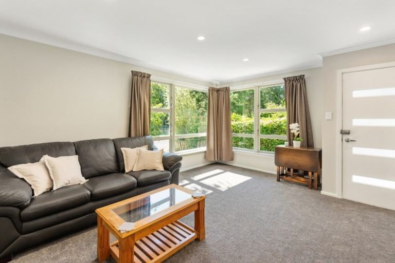 Photo of property in 46a Palatine Terrace, Saint Martins, Christchurch, 8022