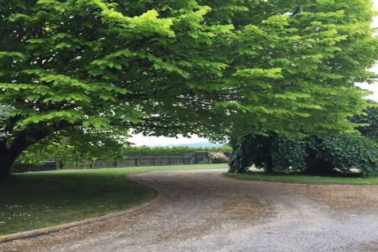 Photo of property in 241 Trices Road, Prebbleton, Christchurch, 7674