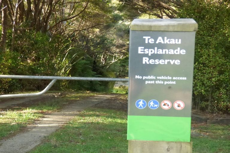 Photo of property in 6 Ryan Road, Te Akau, Ngaruawahia, 3793