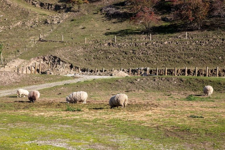 Photo of property in 25 Smith Street, Roxburgh, 9500