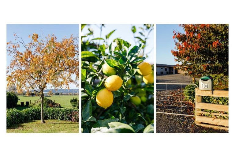 Photo of property in 130 Fermah Road, Poroporo, Whakatane, 3192