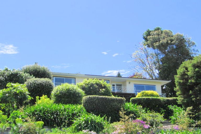 Photo of property in 8 Belgium Terrace, Mangapapa, Gisborne, 4010
