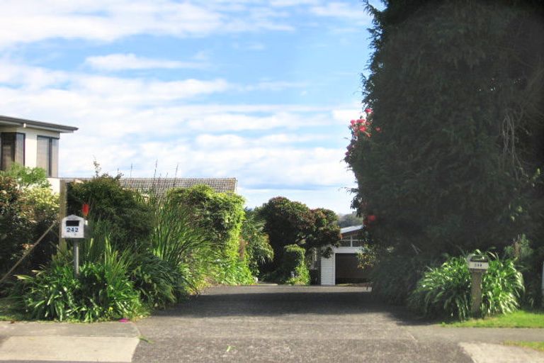 Photo of property in 242 Maungatapu Road, Maungatapu, Tauranga, 3112