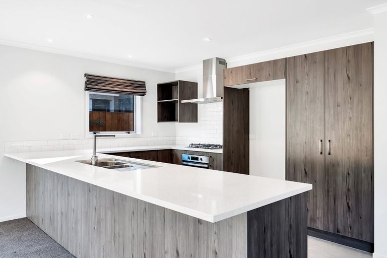 Photo of property in 115 Landing Drive, Pyes Pa, Tauranga, 3112