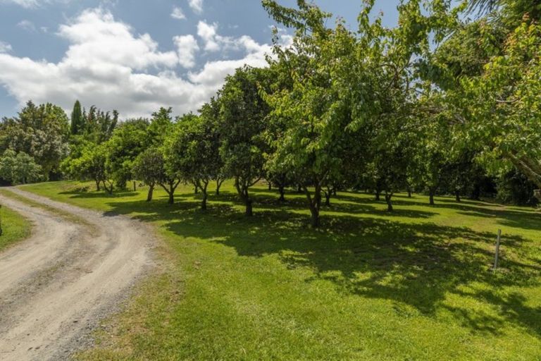 Photo of property in 14r Fasching Lane, Tauriko, Tauranga, 3110