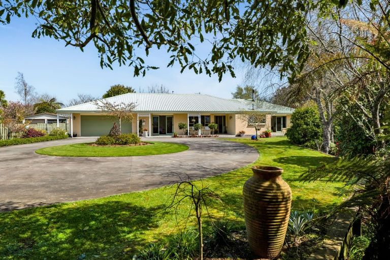 Photo of property in 29 Margaret Street, Stratford, 4332