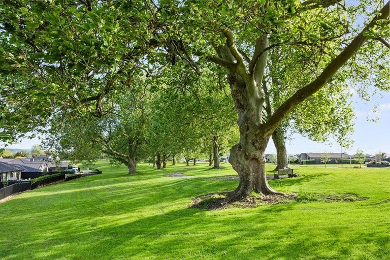 Photo of property in 83 Fairway Drive, Morrinsville, 3300