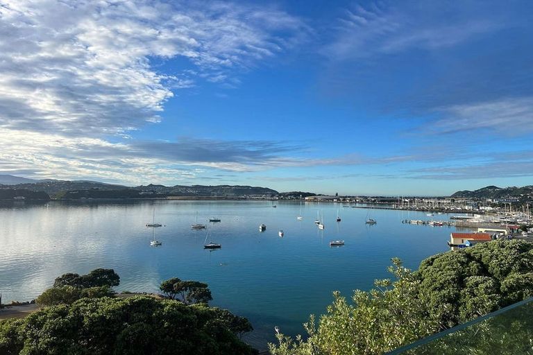 Photo of property in 43c Rata Road, Hataitai, Wellington, 6021