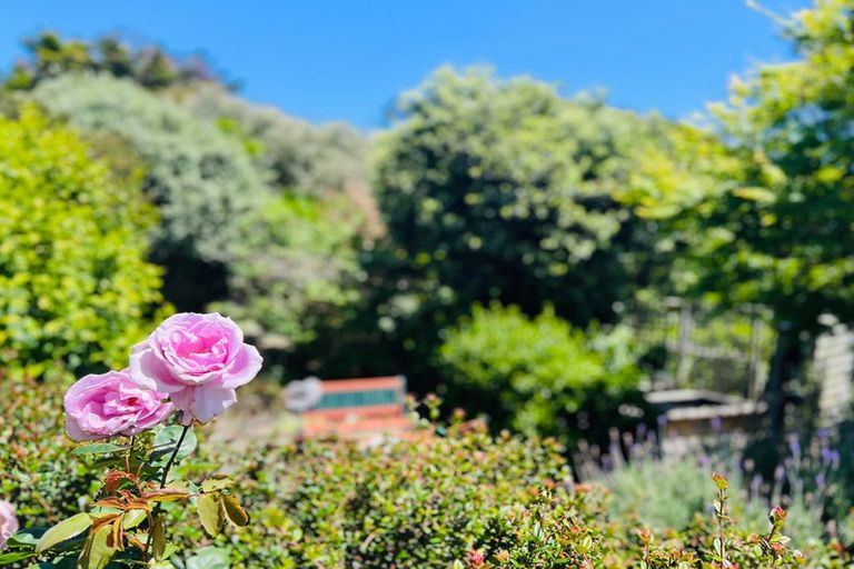 Photo of property in 20 Freyberg Crescent, Waikanae Beach, Waikanae, 5036