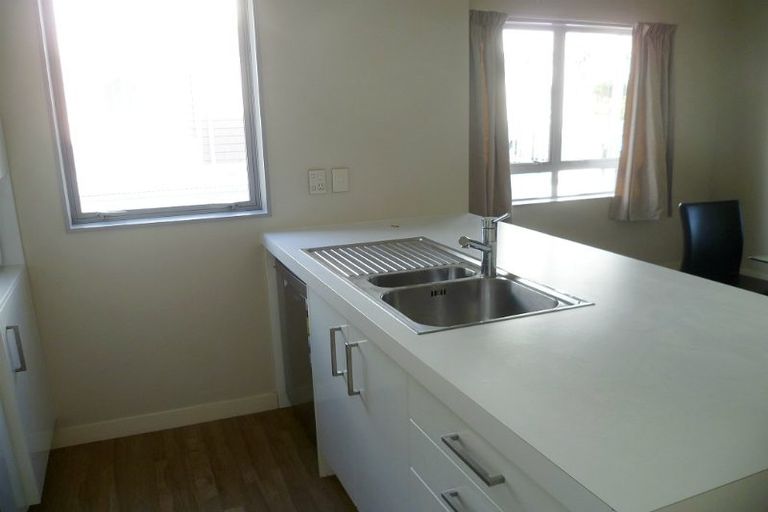 Photo of property in 3 Papawai Terrace, Mount Cook, Wellington, 6021