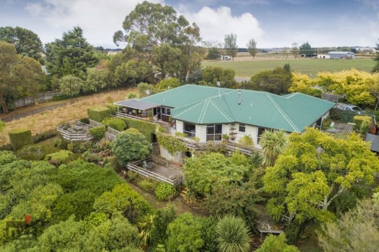 Photo of property in 86 Halcombe Road, Feilding, 4775
