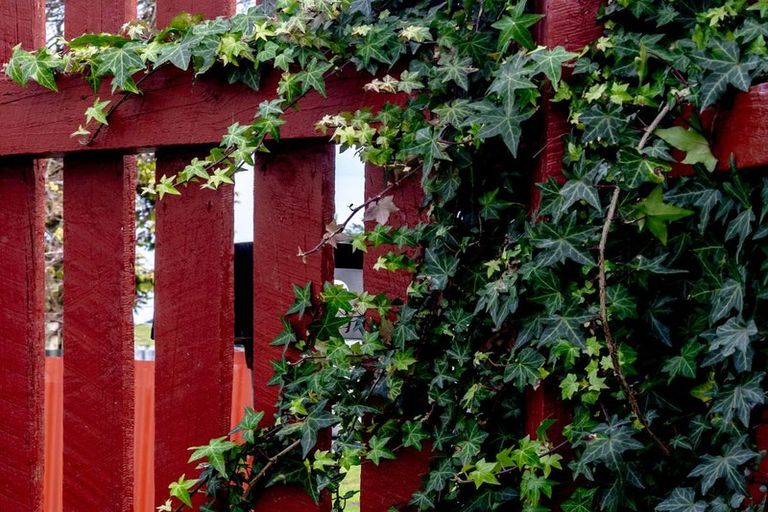 Photo of property in 12 Peel Street, Cobden, Greymouth, 7802