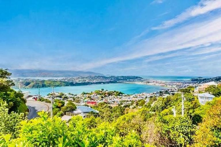 Photo of property in 20 Alexandra Road, Roseneath, Wellington, 6021