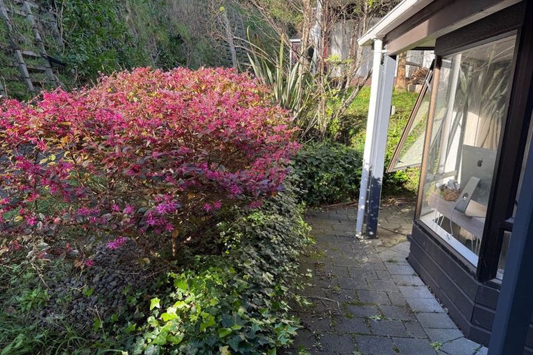 Photo of property in 4/115 Owen Street, Newtown, Wellington, 6021