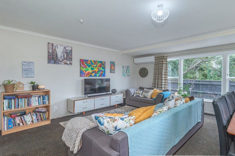 Photo of property in 81 Macarthur Street, Levin, 5510