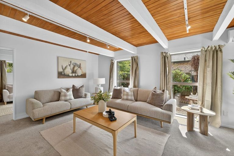 Photo of property in 3a Amstel Lane, Richmond, Christchurch, 8013