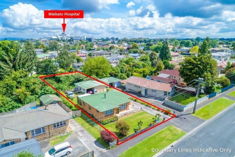 Photo of property in 64 Pine Avenue, Melville, Hamilton, 3206