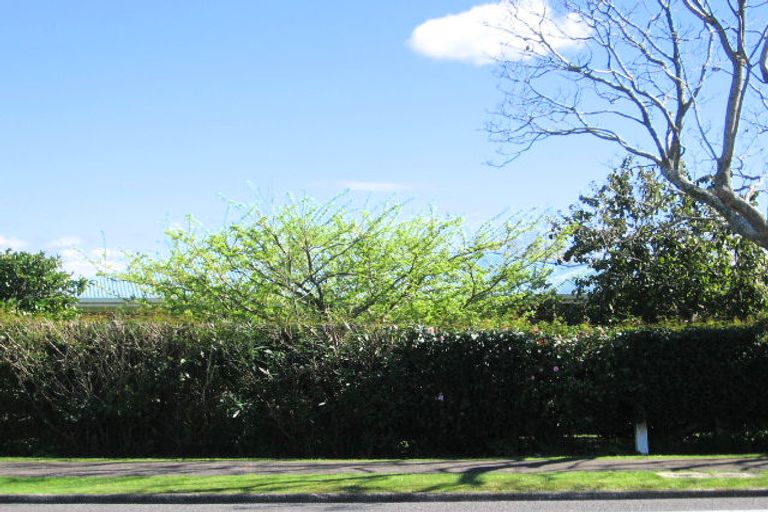 Photo of property in 318 Maungatapu Road, Maungatapu, Tauranga, 3112