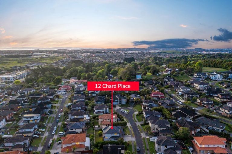 Photo of property in 12 Chard Place, Flat Bush, Auckland, 2016