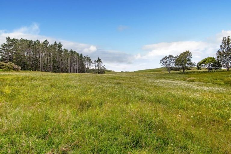 Photo of property in 348 Blackbridge Road, Dairy Flat, Albany, 0794