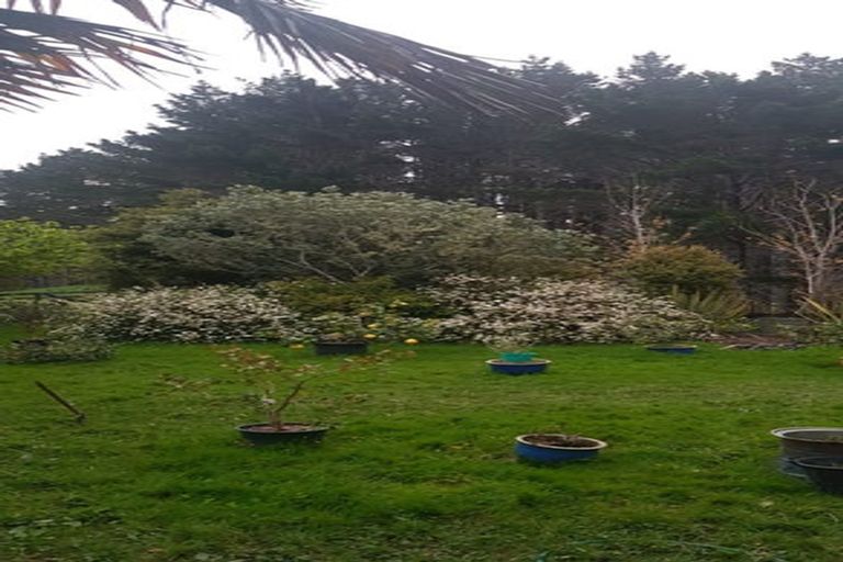 Photo of property in 482 Krippner Road, Puhoi, Warkworth, 0994