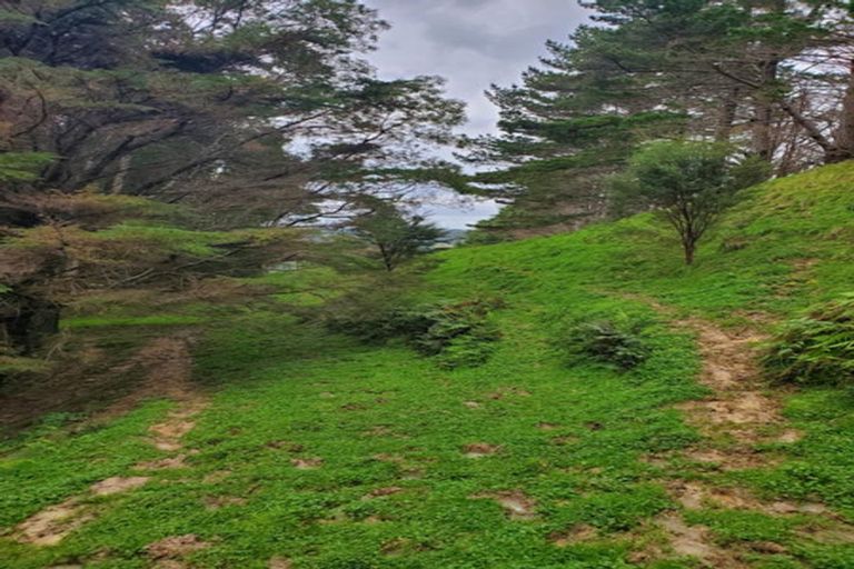 Photo of property in 482 Krippner Road, Puhoi, Warkworth, 0994