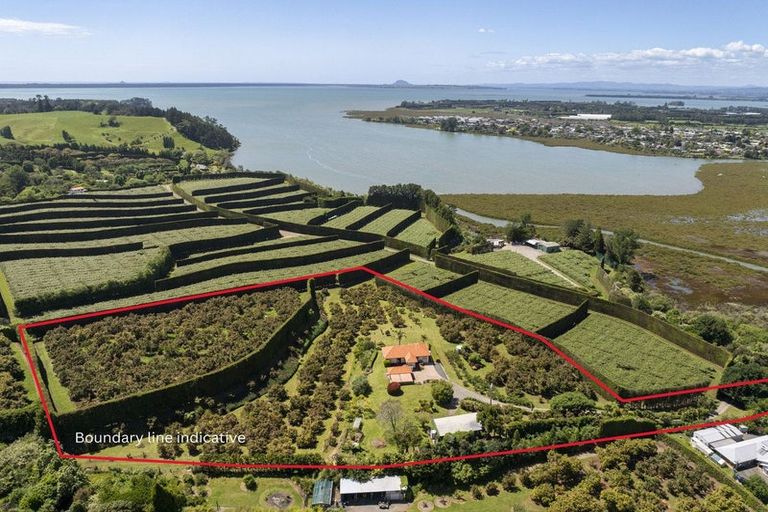 Photo of property in 11b Stokes Road, Tahawai, Katikati, 3170