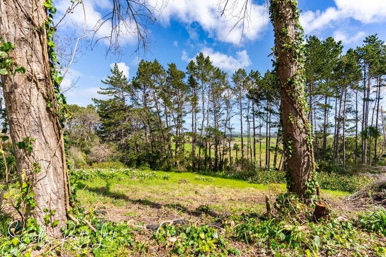 Photo of property in 5a Pirika Street, Dargaville, 0310