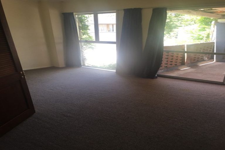 Photo of property in 28b Alison Street, Hamilton Lake, Hamilton, 3204