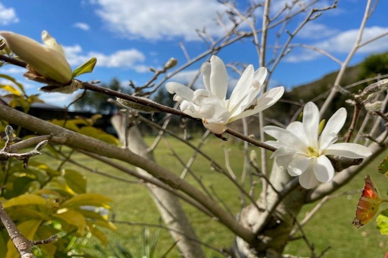 Photo of property in 2/383 No 2 Road, Te Puke, 3182