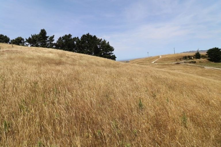 Photo of property in 668c Old Hill Road, Porangahau, 4291