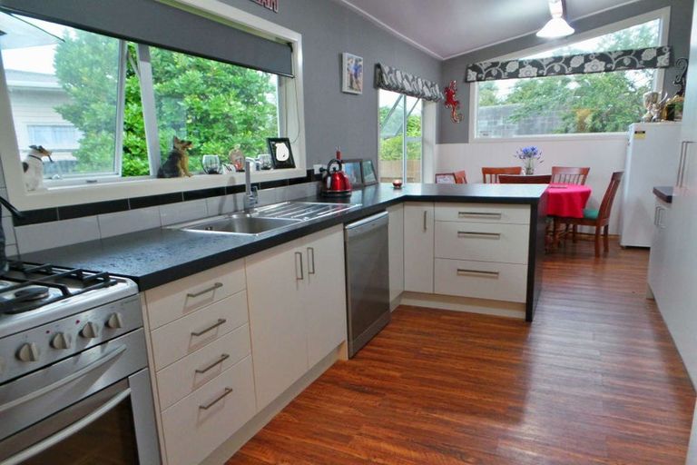 Photo of property in 6 Windsor Place, Levin, 5510