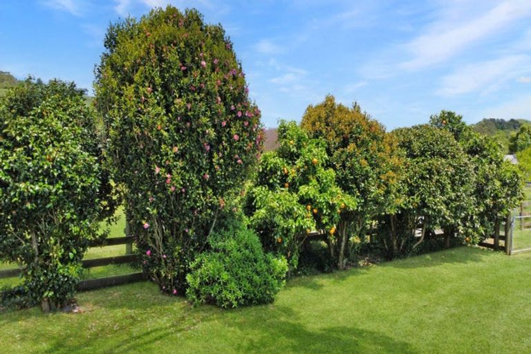 Photo of property in 1009 White Pine Bush Road, Taneatua, Whakatane, 3191