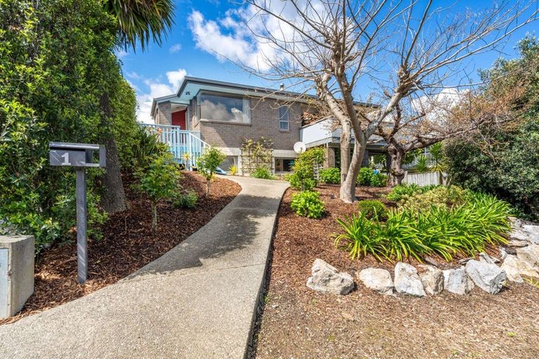 Photo of property in 1 Greenwood Place, Richmond, 7020