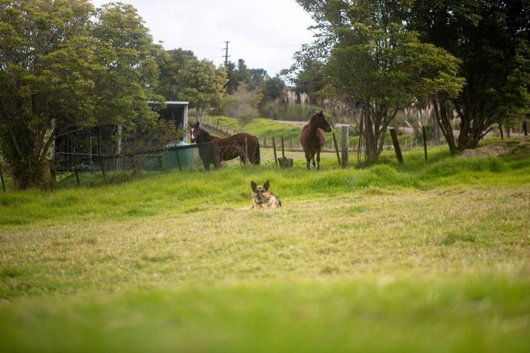 Photo of property in 94 Montrose Road, Kerikeri, 0293
