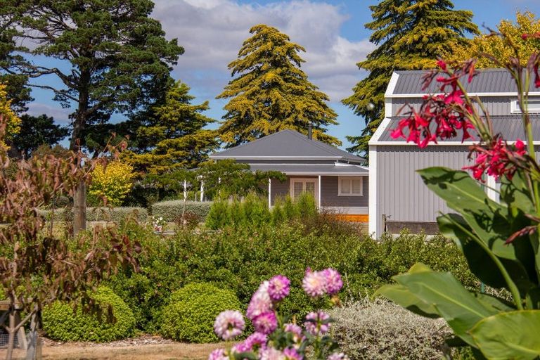 Photo of property in 174 Loop Line, Opaki, Masterton, 5881