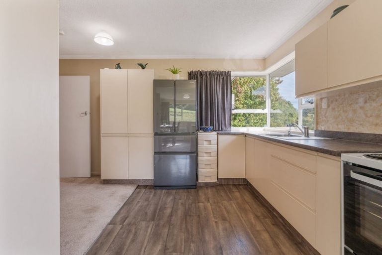 Photo of property in 61 Elwyn Crescent, Green Island, Dunedin, 9018