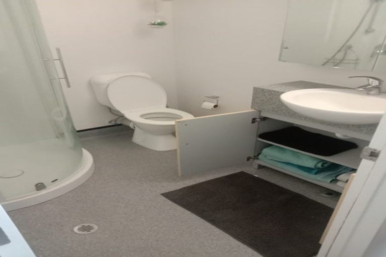 Photo of property in Dual Apartments, 108/142u Vivian Street, Te Aro, Wellington, 6011
