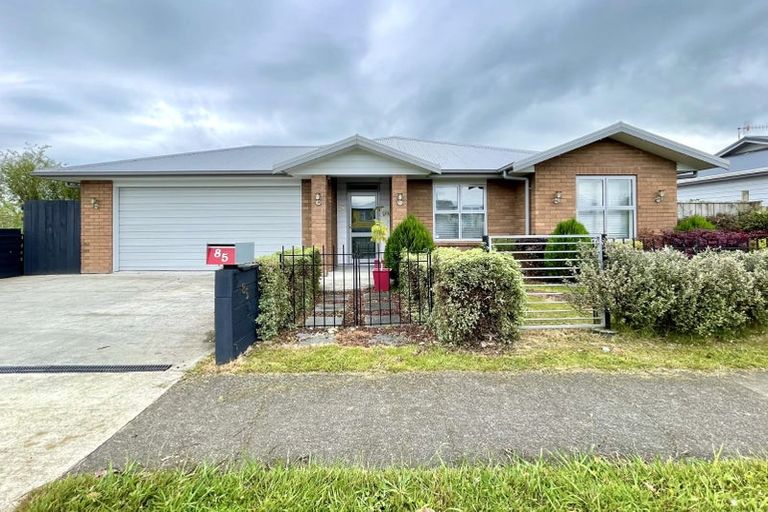 Photo of property in 85 Tiro Tiro Road, Levin, 5510