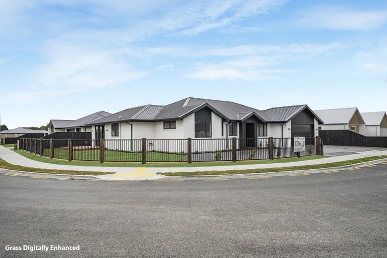 Photo of property in 54 Greig Crescent, Amberley, 7481