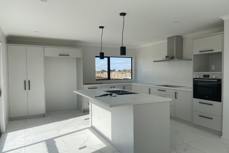 Photo of property in 55 Earp Crescent, Chartwell, Hamilton, 3210