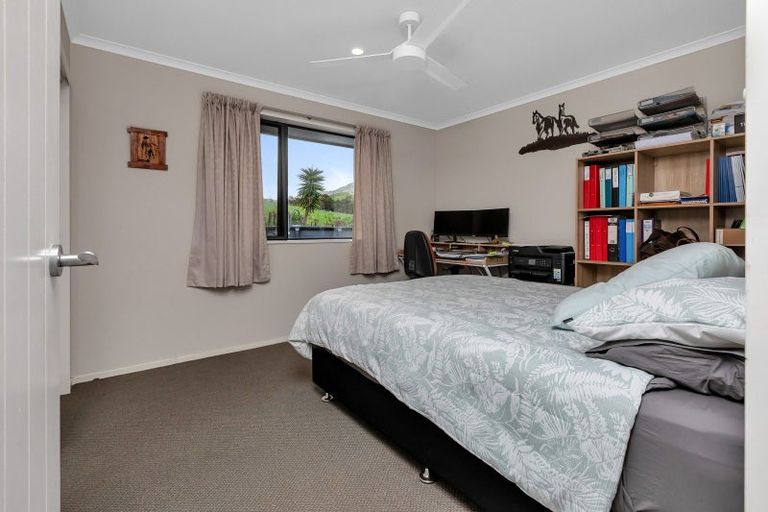 Photo of property in 1488 Kirikopuni Road, Tangiteroria, 0381