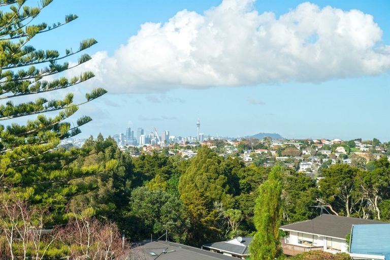 Photo of property in 135 Coronation Road, Hillcrest, Auckland, 0627