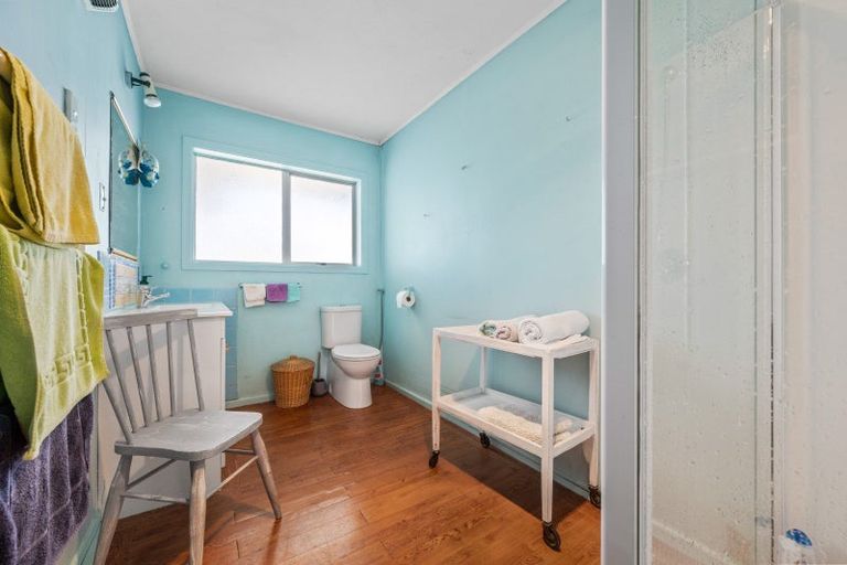 Photo of property in 20 Killarney Street, Alexandra, 9320