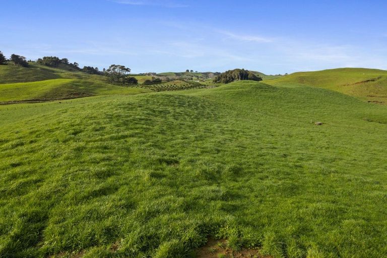 Photo of property in 1234 Richmond Road, Everett Park, Inglewood, 4389