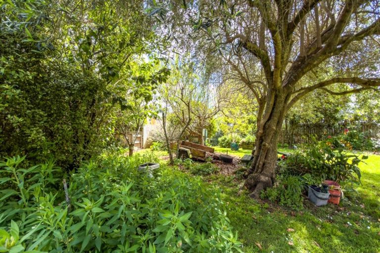 Photo of property in 48 Kon Tiki Road, Whiritoa, Whangamata, 3691