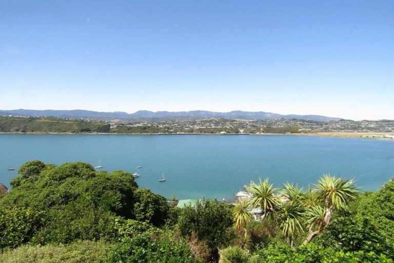 Photo of property in 19 Overtoun Terrace, Hataitai, Wellington, 6021